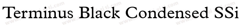 Terminus Black Condensed SSi Black字体转换